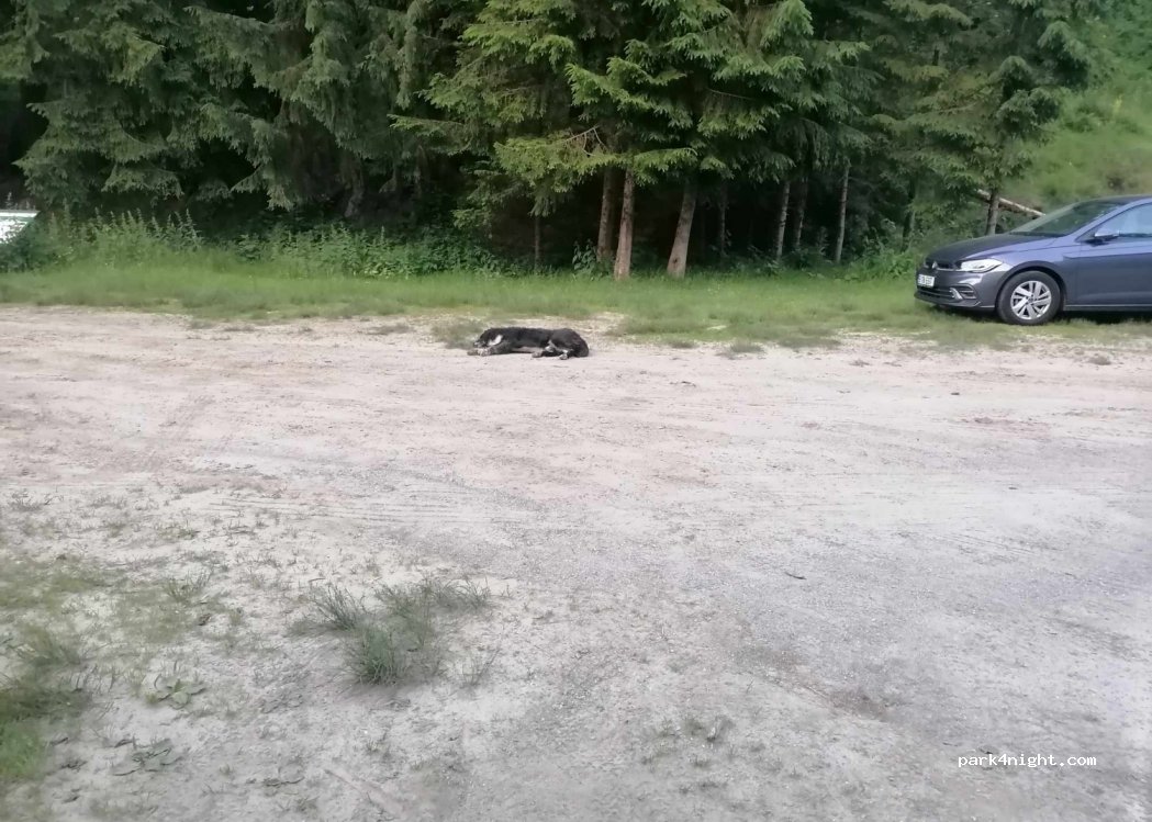 (117631) Sătic - Unnamed Road — foto 2