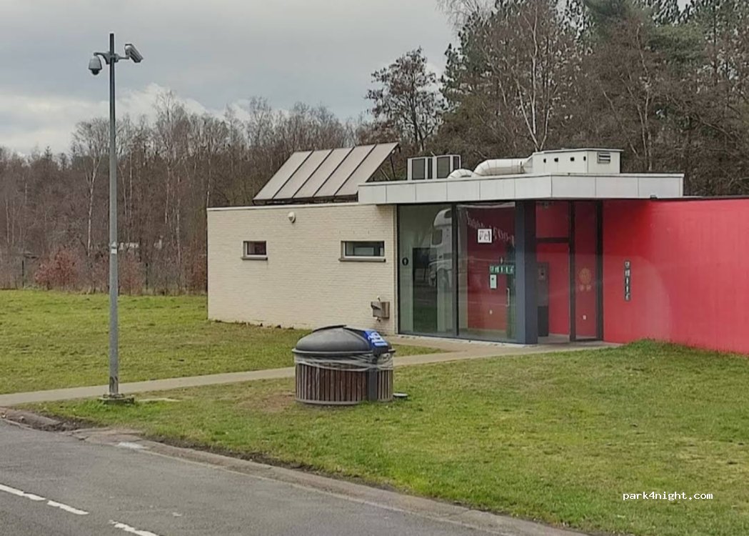 (2275) Lille - 10 Rommelzwaan — foto