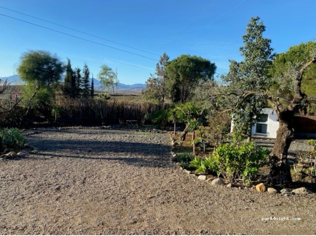 La Casa Palmera — foto 2