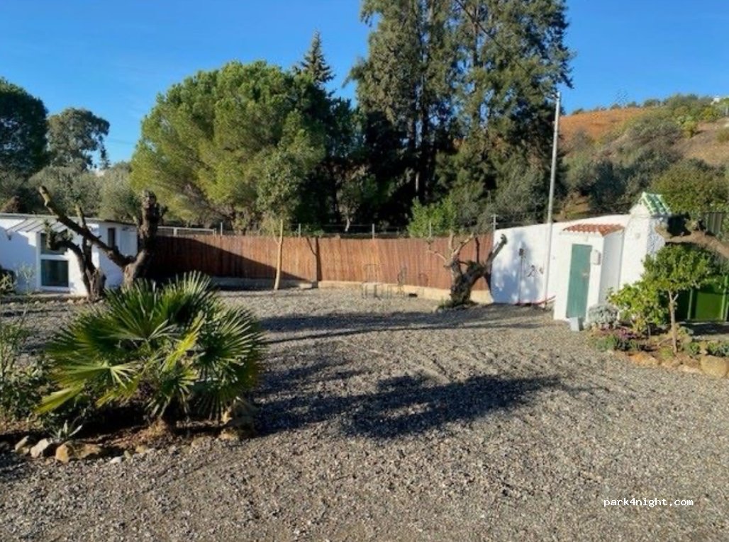 La Casa Palmera — foto 3
