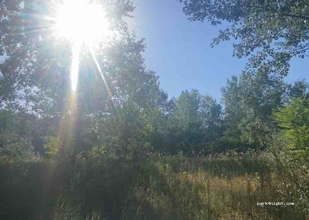 (6032) Nyárlőrinc - — foto 2
