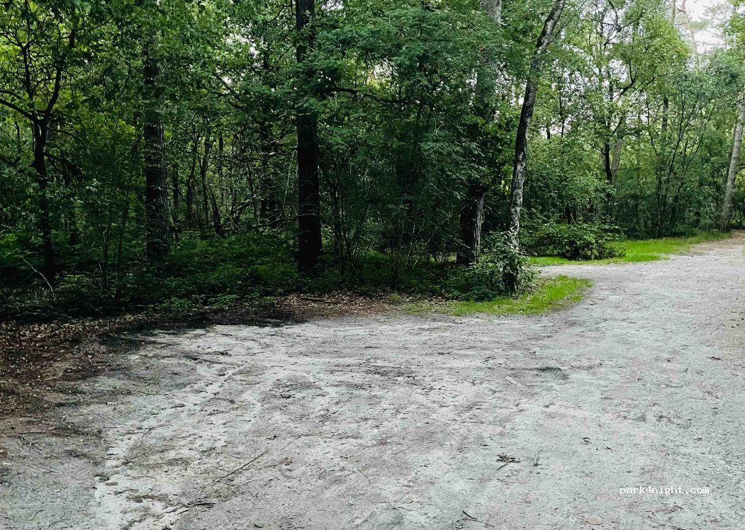 (5066 CB) Moergestel - Heiligenboom — foto