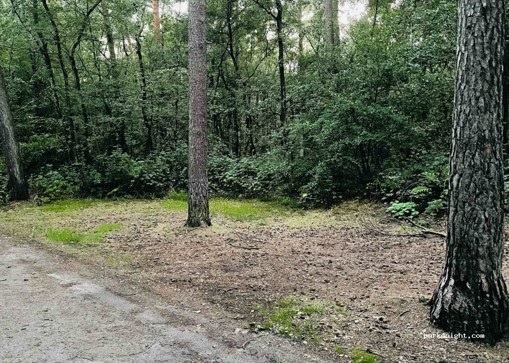 (5066 CB) Moergestel - Heiligenboom — foto 2