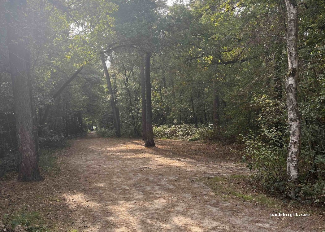 (5066 CB) Moergestel - Heiligenboom — foto 3