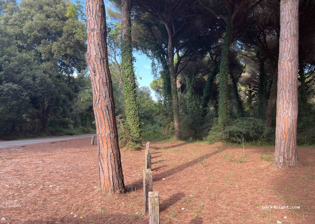 (56128) Pisa - 12 Via dei Porcari — foto