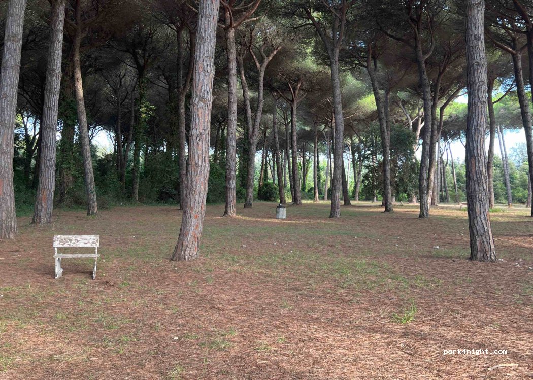 (56128) Pisa - 12 Via dei Porcari — foto 3