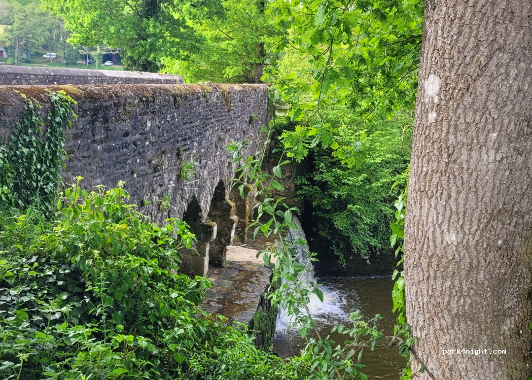 (35340) La Bouëxière - 25 Chevré — foto 3