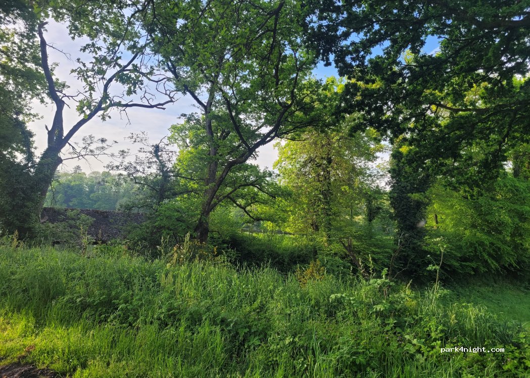 (35340) La Bouëxière - 25 Chevré — foto 4