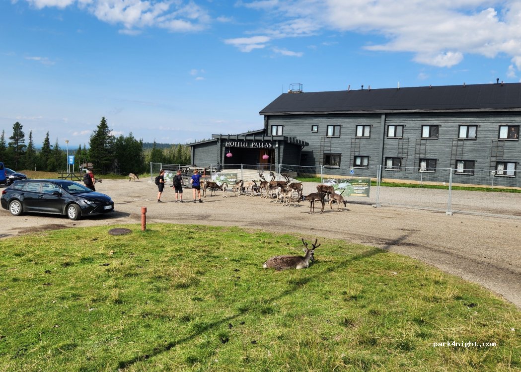 (99330) Muonio - 557 Pallastunturintie — foto 3