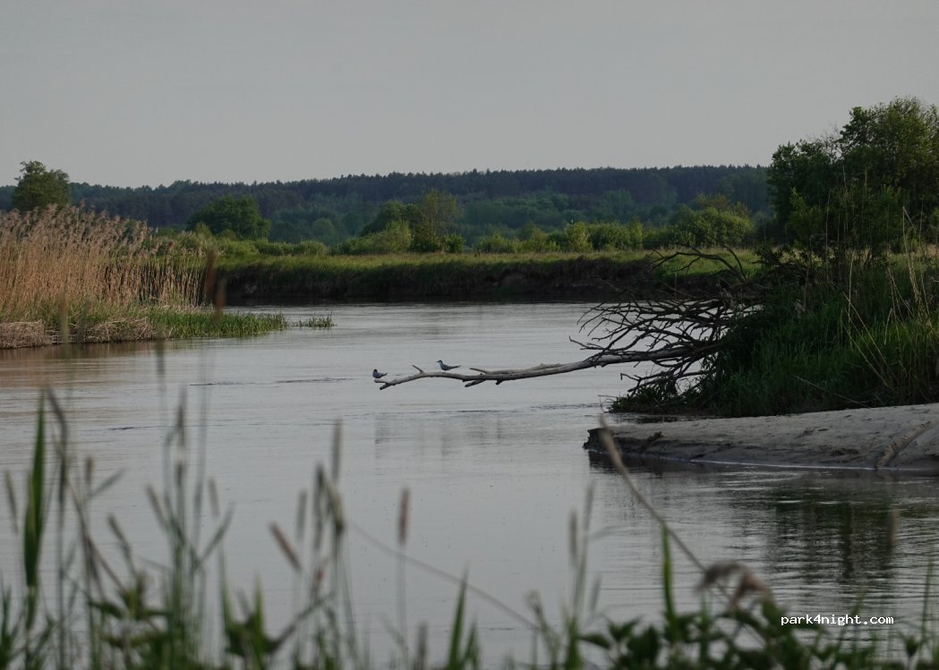 (08-504) Białki Dolne - — foto 3