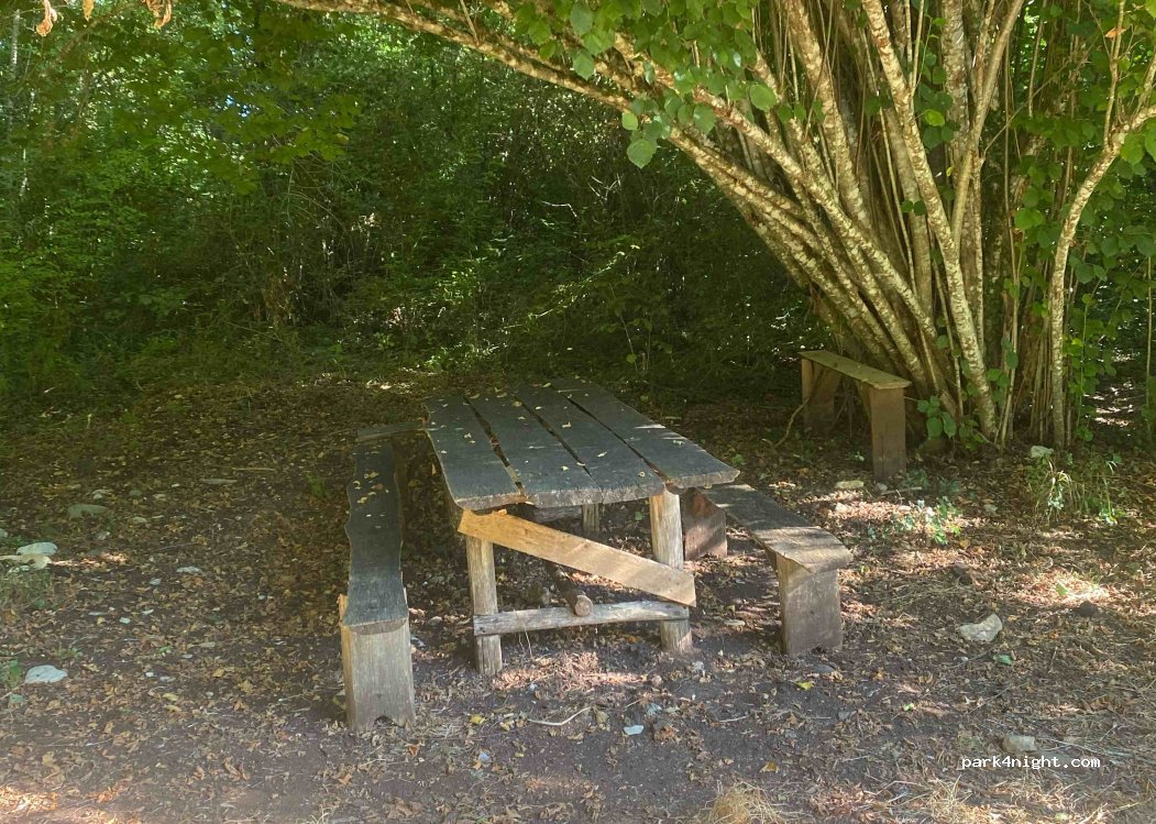 (53013) Gaiole in Chianti - — foto