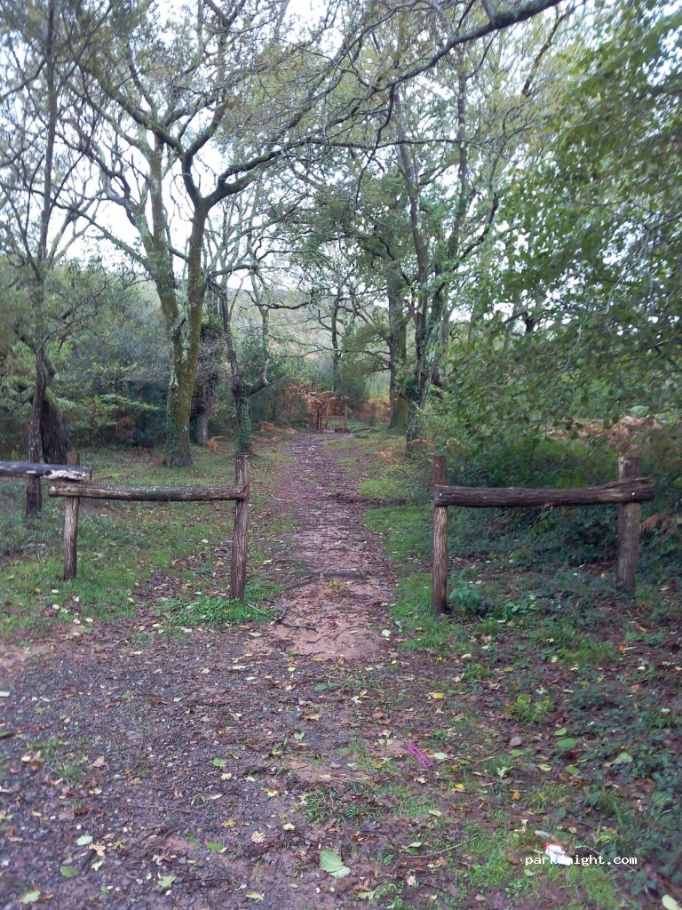 (64122) Urrugne - 3788-3812 Route d'Ibardin — foto 3