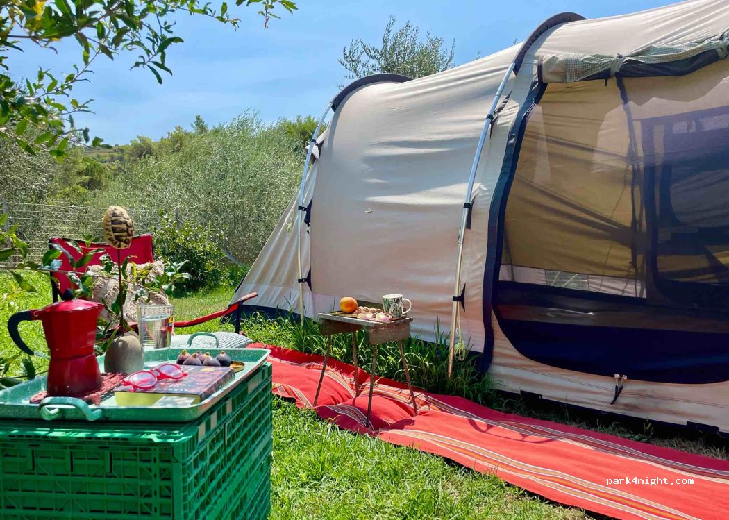 Camp ERA — foto