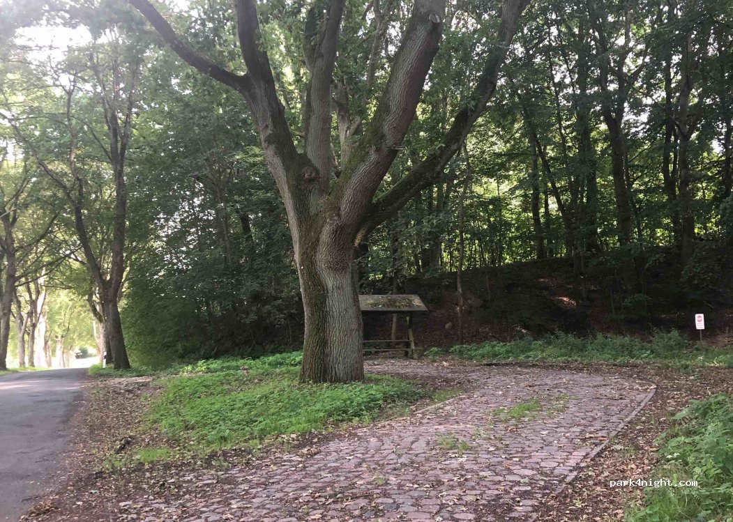 () Wardow - — foto 4