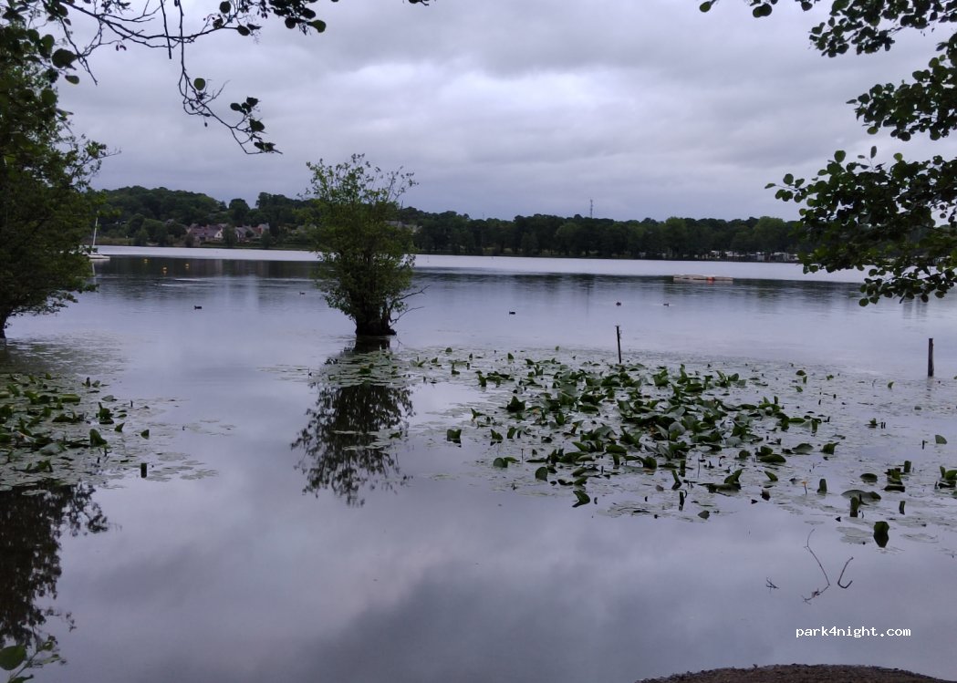 (35470) Bain-de-Bretagne - 63 Rue Hippolyte Fillioux — foto 3