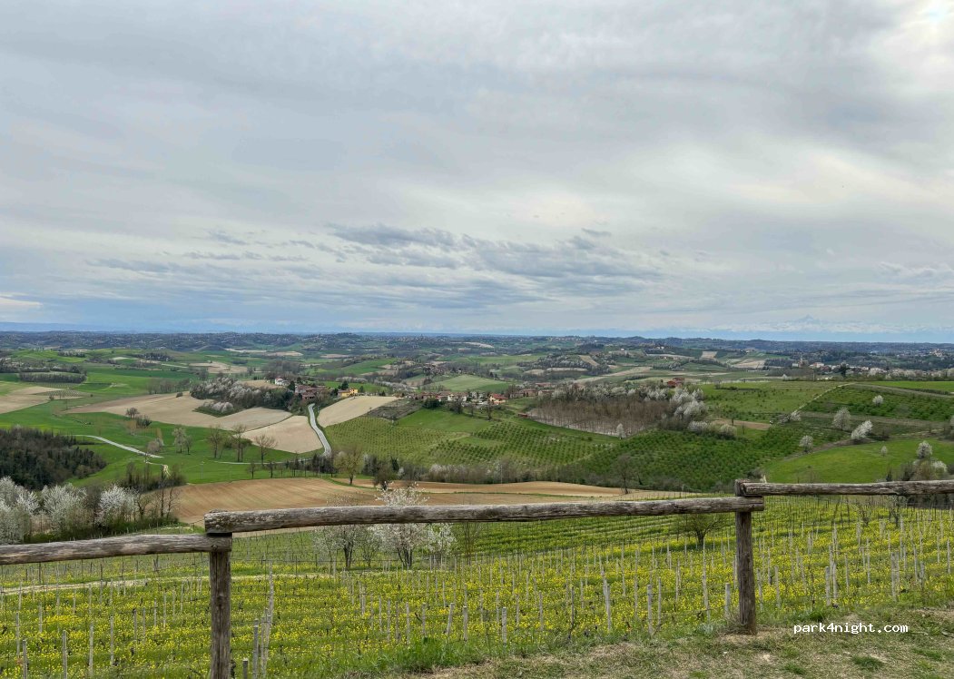 Azienda Agricola Crealto — foto 4