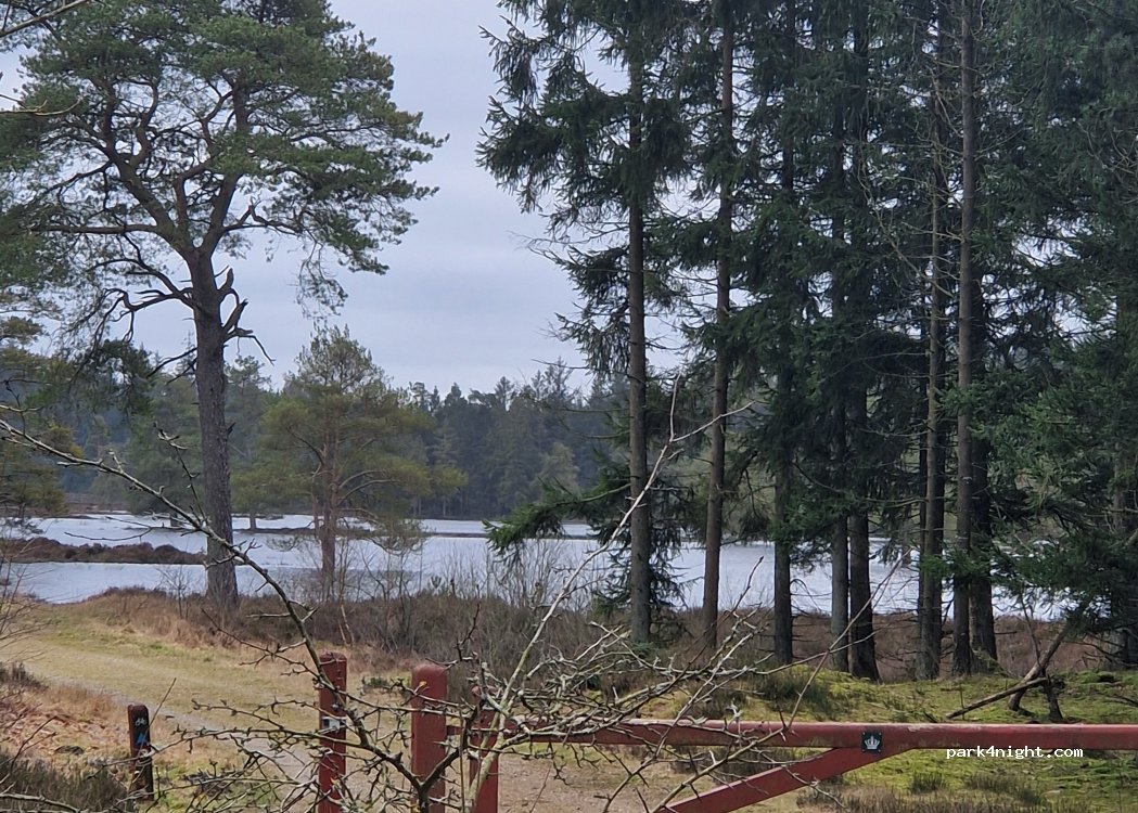 (7190) Billund - 6 Koldingvej — foto 2