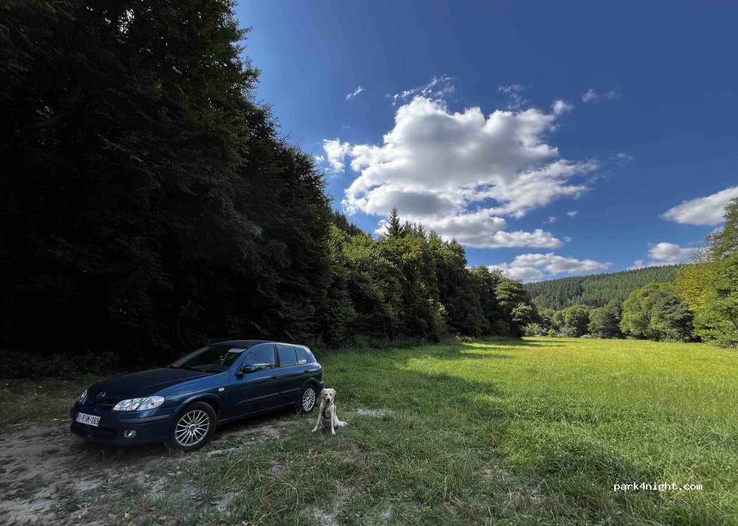 (9746) Clervaux - — foto 4