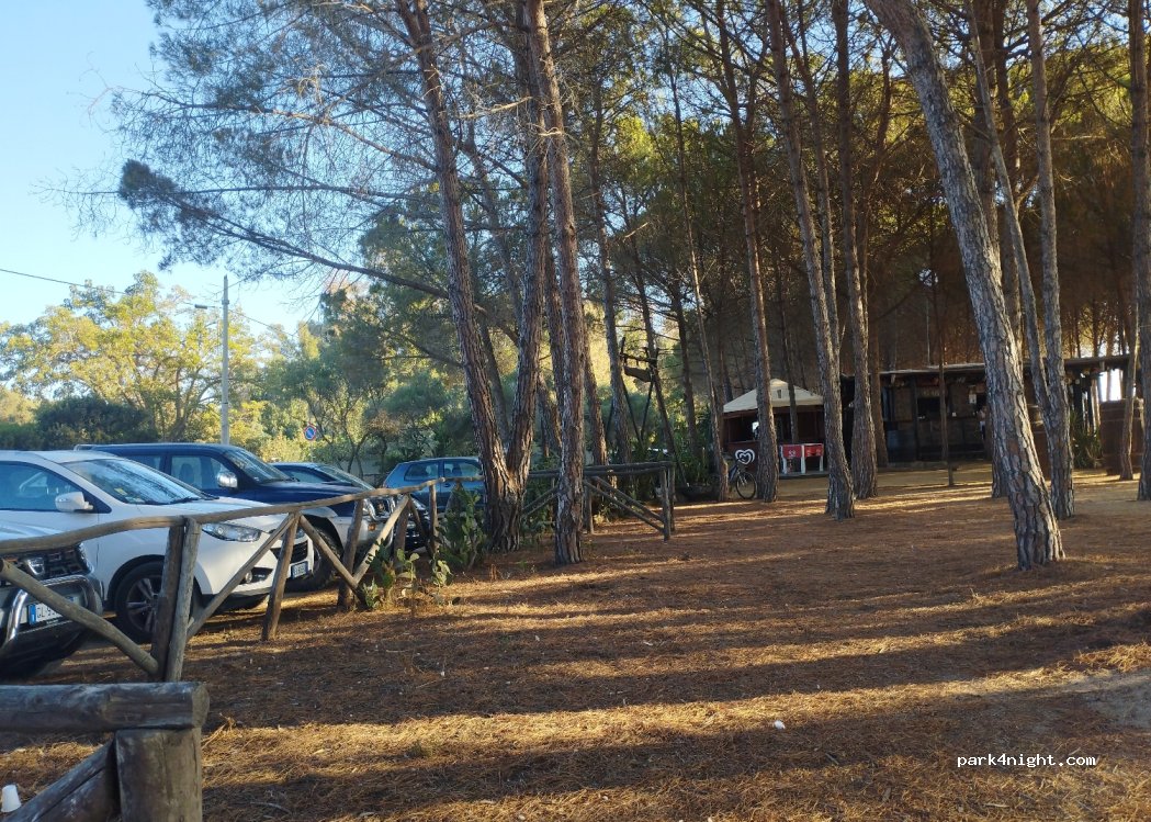 (08042) Bari sardo - Viale della Pineta — foto