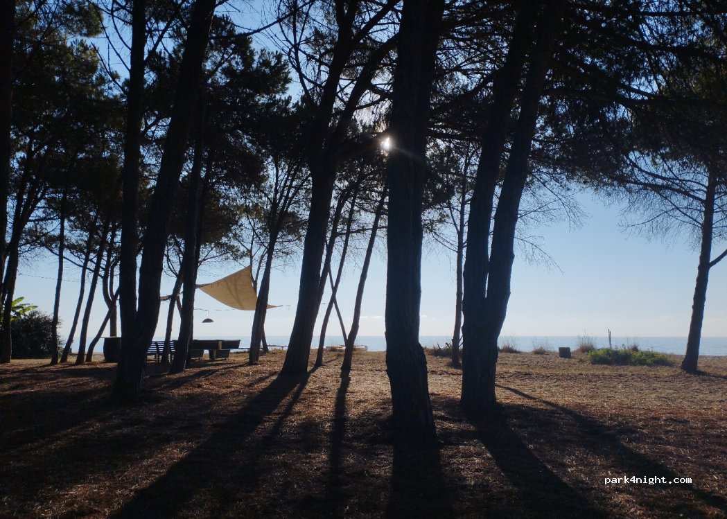 (08042) Bari sardo - Viale della Pineta — foto 2