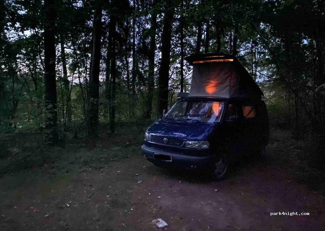 (20243) Savidonys - — foto
