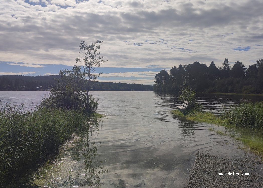 (872 97) Skog - — foto