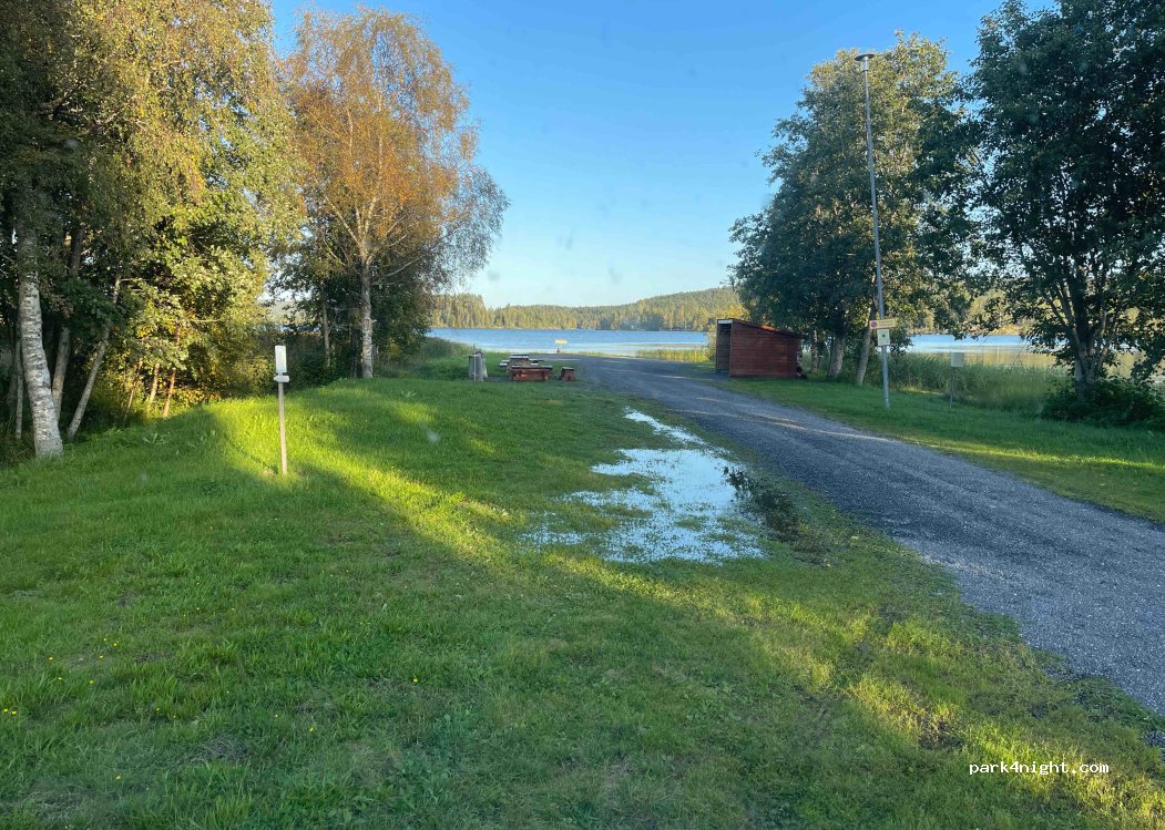 (872 97) Skog - — foto 4