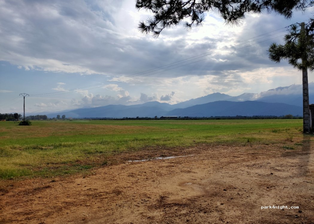 (20240) Ghisonaccia - Route de l'Aérodrome — foto 4