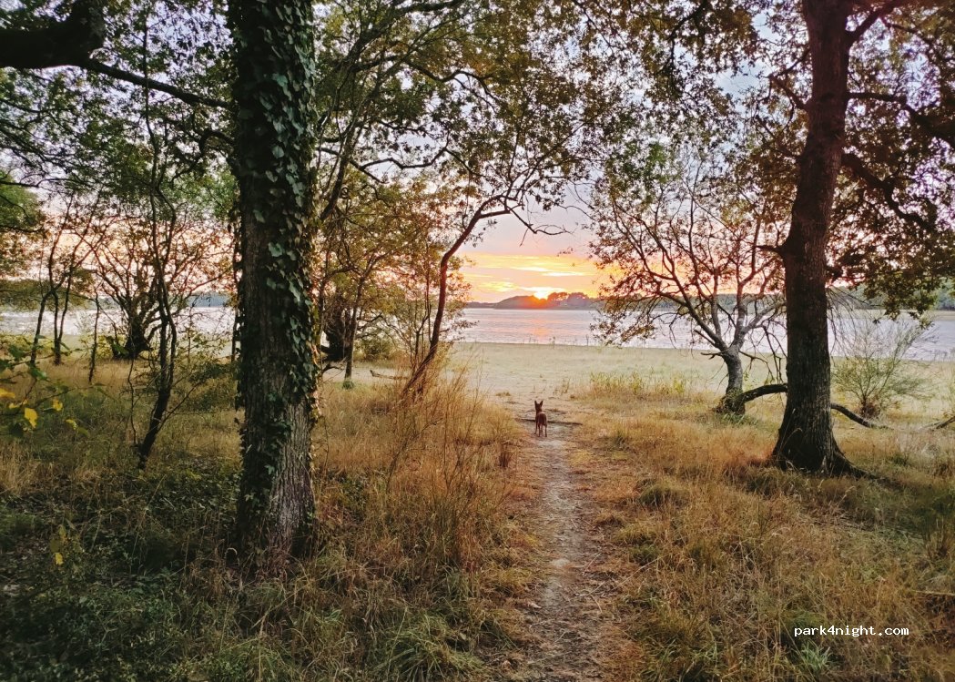 (44440) Joué-sur-Erdre - La Haudinière — foto 2