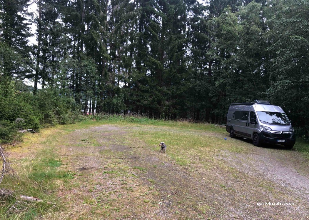 (6637) Flemma - 124 Primær Fylkesveg 666 — foto 3
