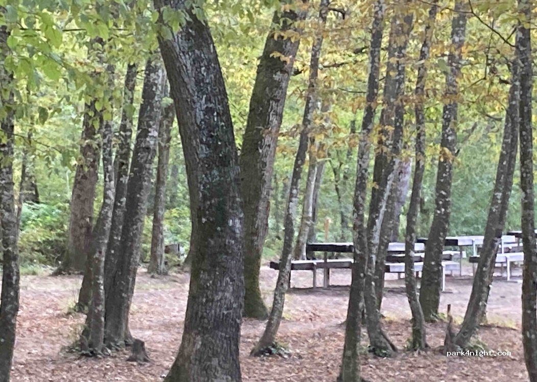 (1254) Jussy - 71 67 Chemin des Grands-Bois — foto