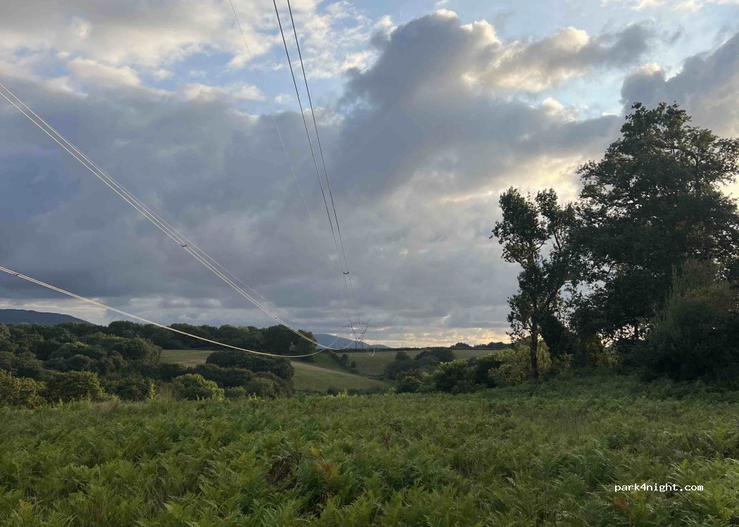 (64310) Saint-Pée-sur-Nivelle - — foto 2