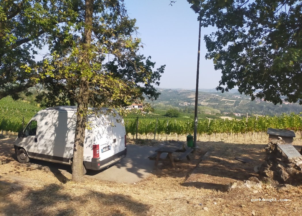 (15019) Strevi - Regione Pineto — foto