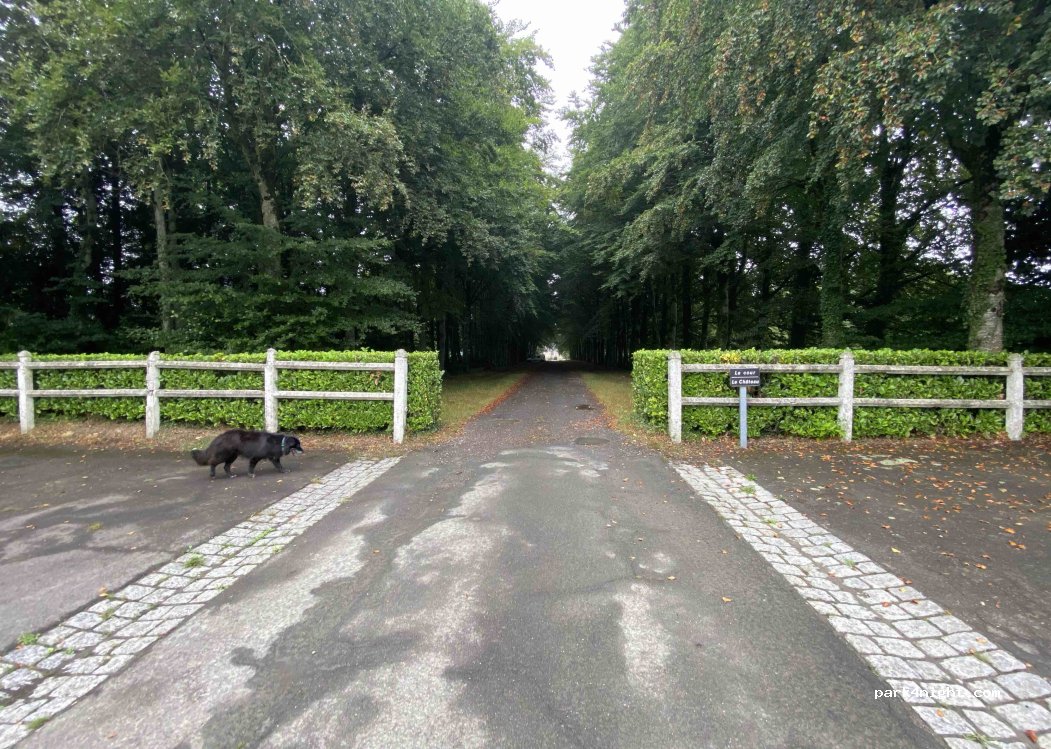 (50750) Bourgvallées - 7 Route des Bois — foto 2
