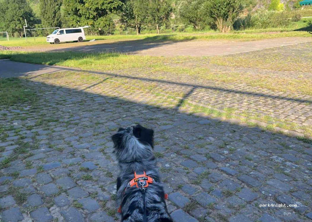 (56843) Burg(Mosel) - 26 Moselstraße — foto 2
