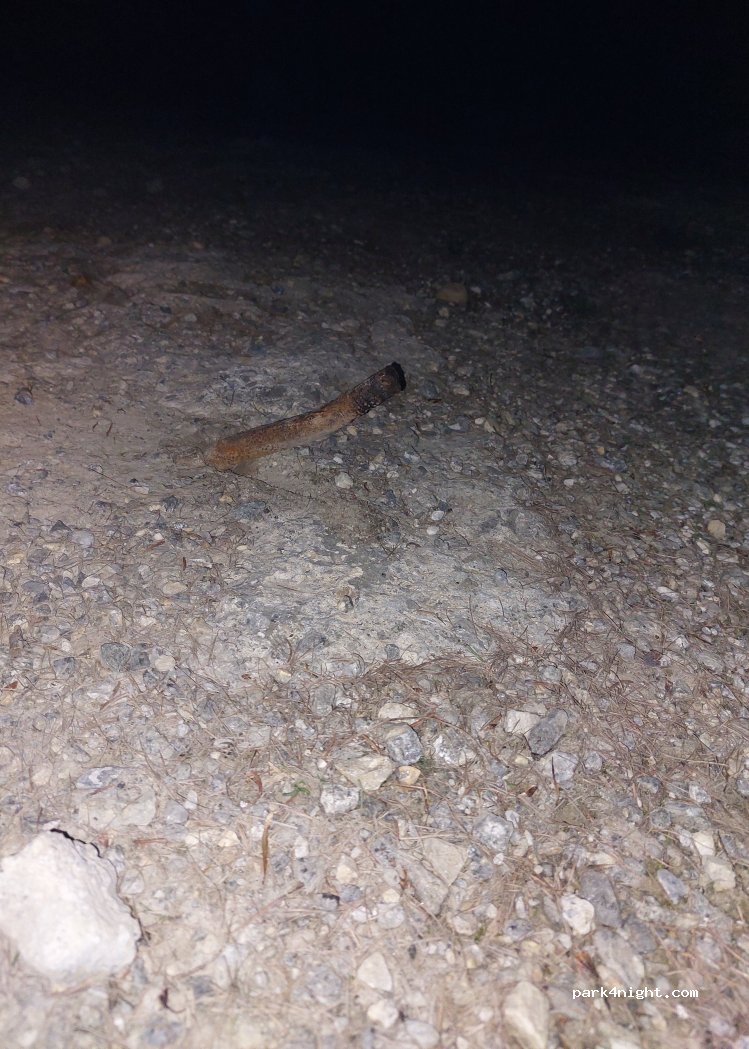 (73600) Salins-Fontaine - — foto 2
