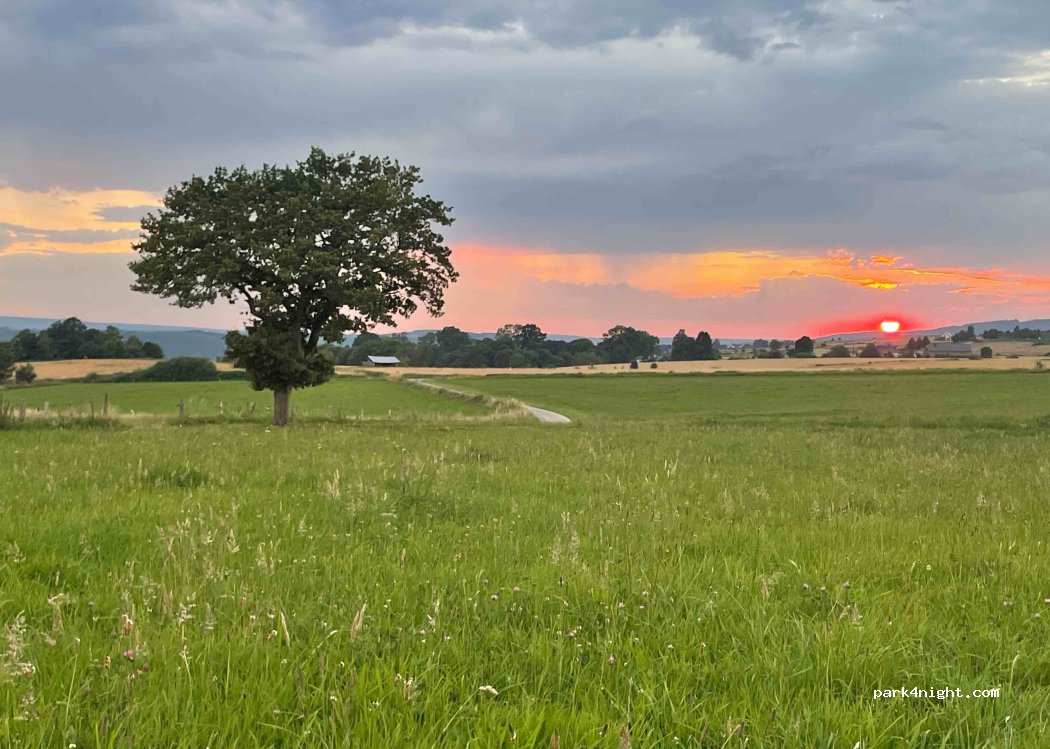 (6660) Houffalize - Grande Mormont — foto 4