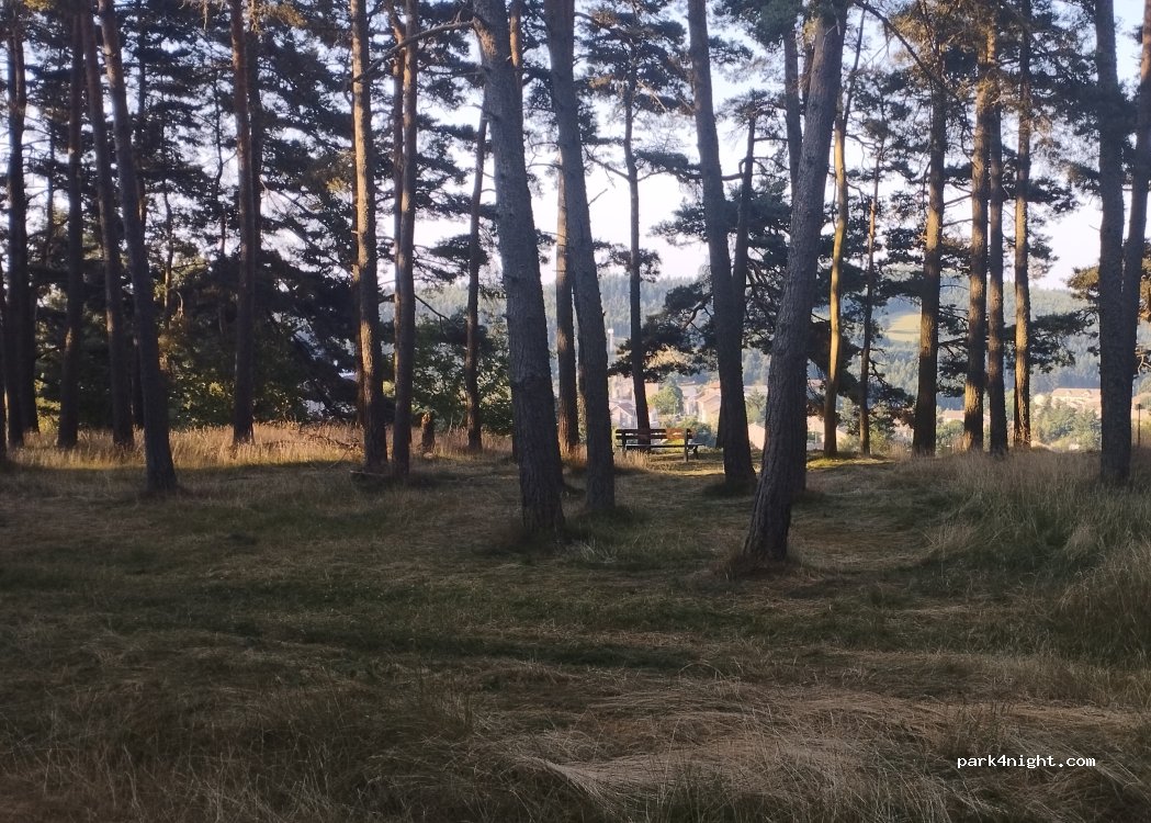 (07520) Lalouvesc - 275 Chemin de Saint-Symphorien — foto 2