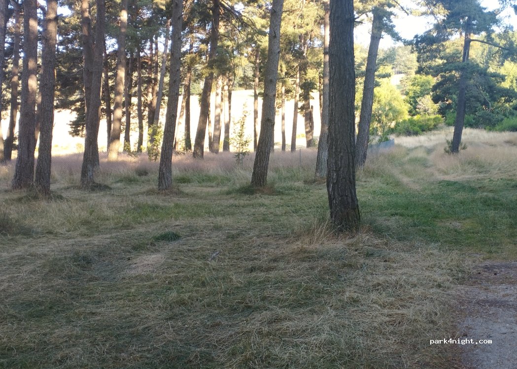 (07520) Lalouvesc - 275 Chemin de Saint-Symphorien — foto 3