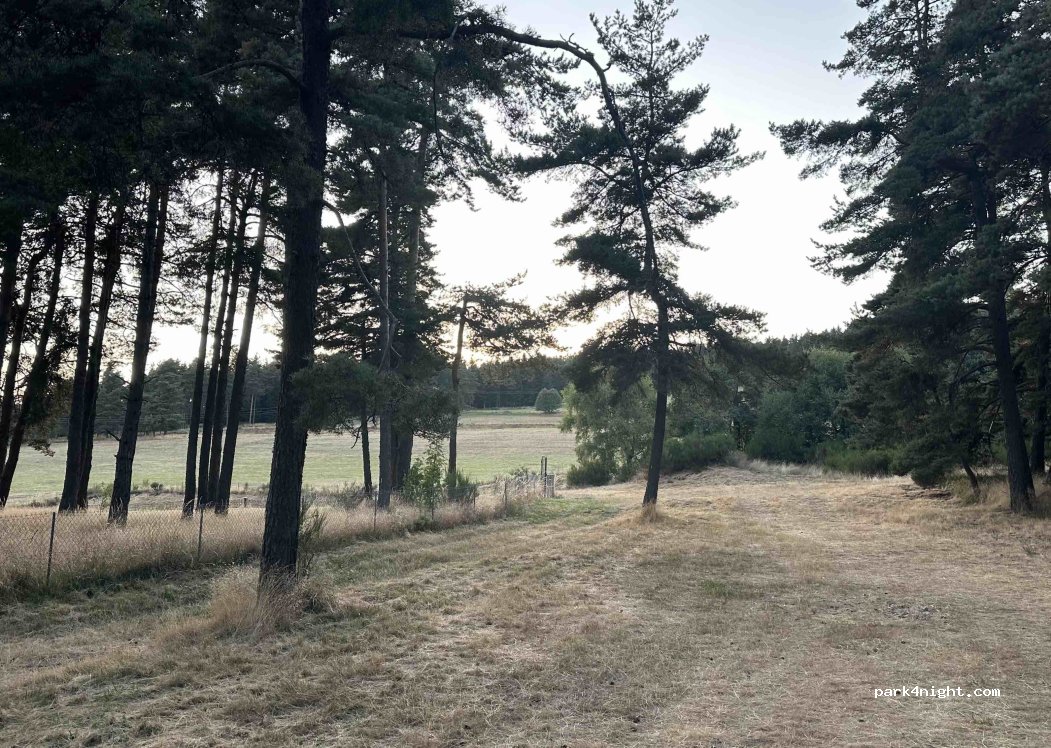 (07520) Lalouvesc - 275 Chemin de Saint-Symphorien — foto 4