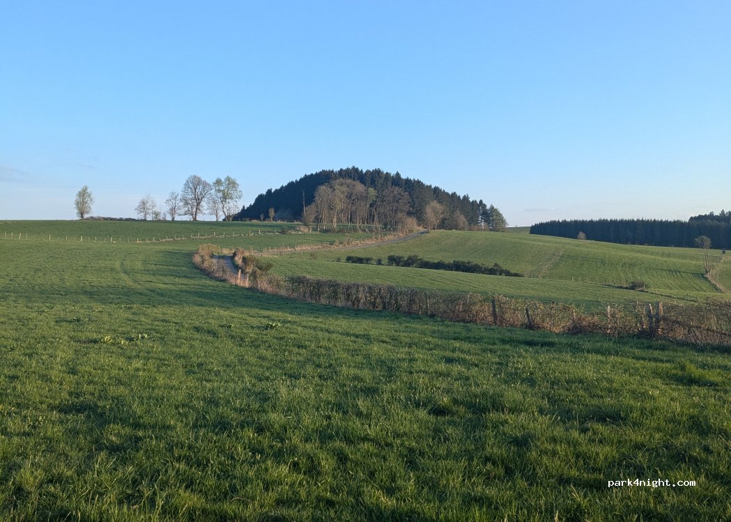 (4770) Saint-Vith - Amelscheid 31 — foto 3
