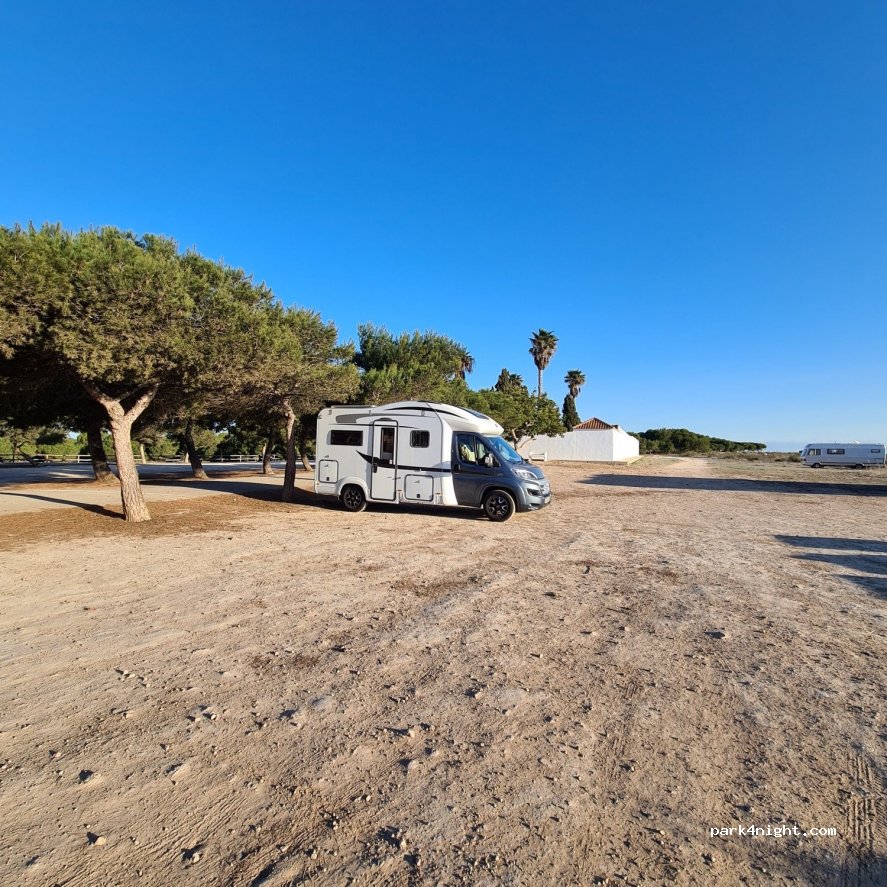 (03184) Guardamar del Segura - Unnamed Road — foto 2