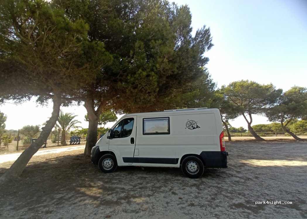 (03184) Guardamar del Segura - Unnamed Road — foto 3