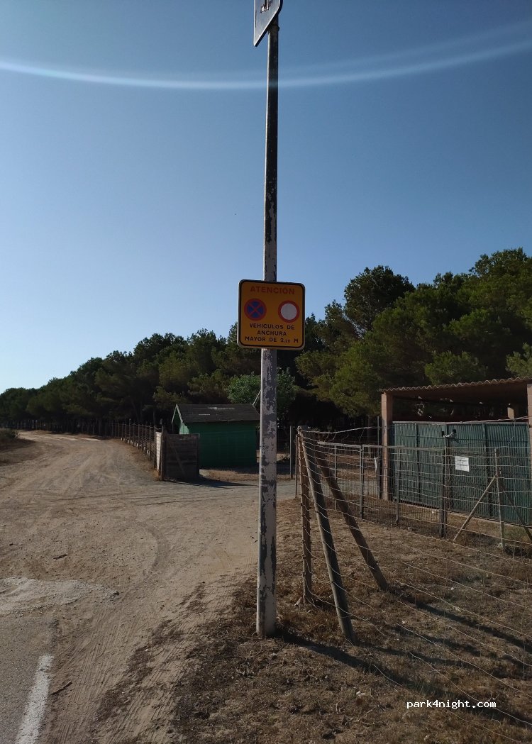 (03184) Guardamar del Segura - Unnamed Road — foto 4