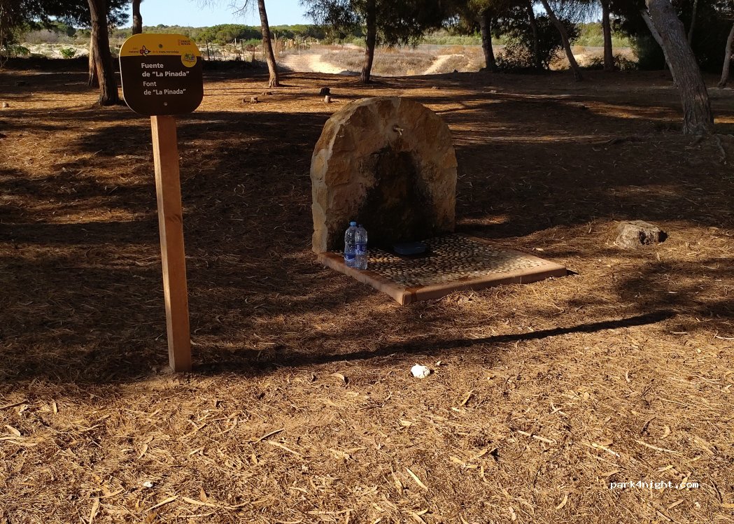 (03184) Guardamar del Segura - Unnamed Road — foto 5