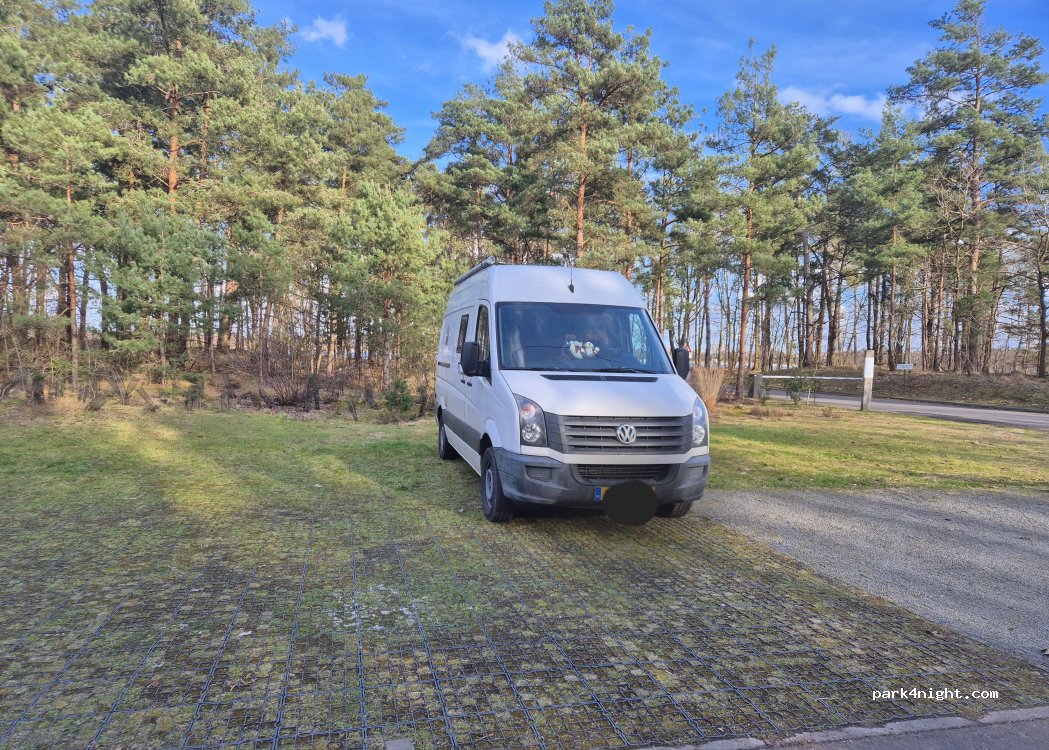 (2480) Dessel - 3 Gravenstraat — foto 4