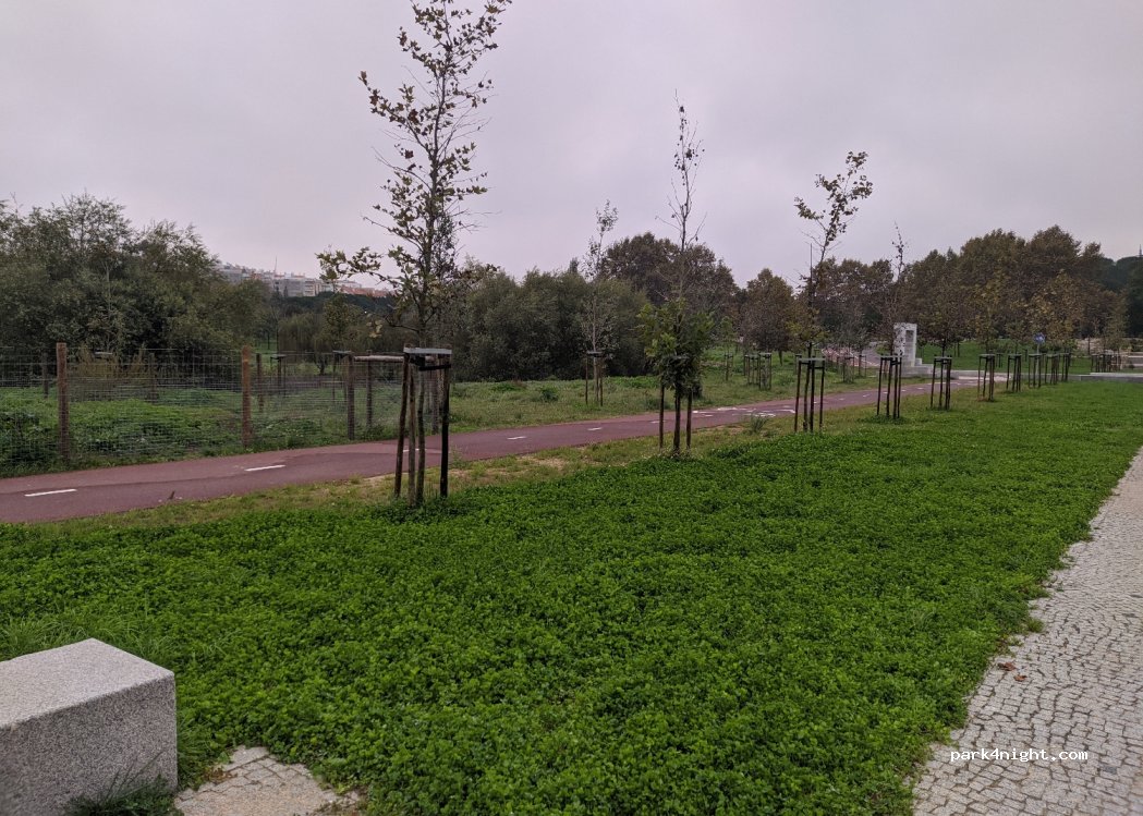 (2805) Almada - IC20 — foto 3