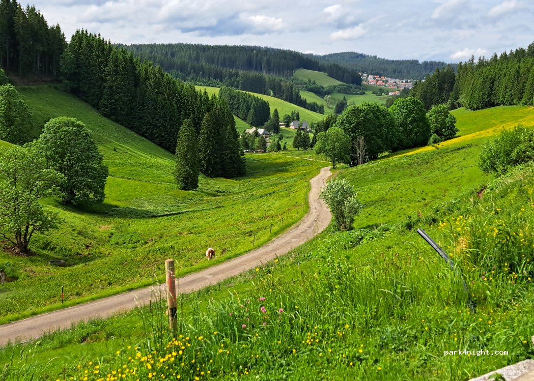Eierhäusle Furtwangen — foto 5