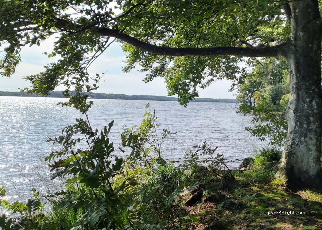(266 97) Hjärnarp - 755 Övre Västersjövägen — foto 2