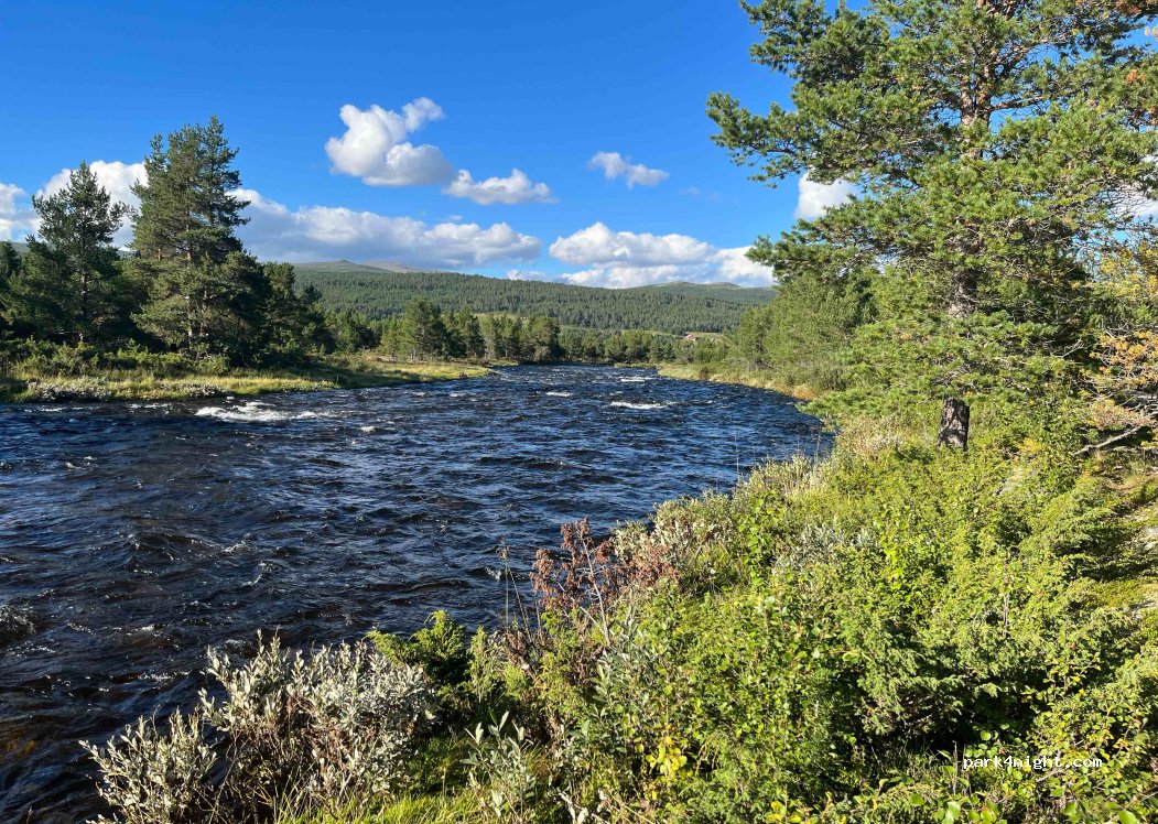 (2584) Dalholen - 4 Borkhusvegen — foto 2
